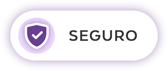 seguro seguro
